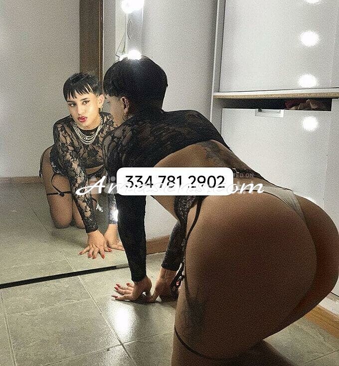 Foto 4 Foto 4
